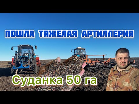Видео: Сев суданской травы