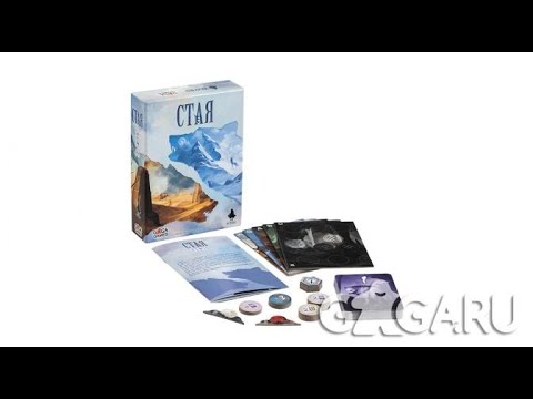 Видео: "Стая" и "Под Прицелом".  Настольные игры от GaGa Games