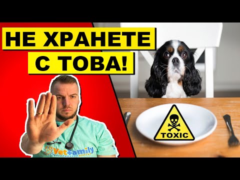 Видео: ТОП 10 НАЙ-ОПАСНИ ХРАНИ, КОИТО МОГАТ ДА УБИЯТ ТВОЕТО КУЧЕ! Top 10 dangerous foods killing your dog