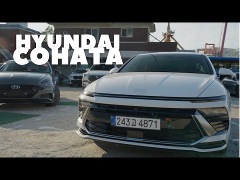 Видео: HYUNDAI SONATA РЕЙСТАЛИНГ
