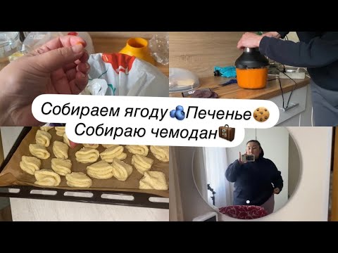 Видео: VLOG: МЫ НОЧЬЮ В ГАИ🚔Пеку ПЕЧЕНЬЕ🍪Собираем ЯГОДЫ🫐