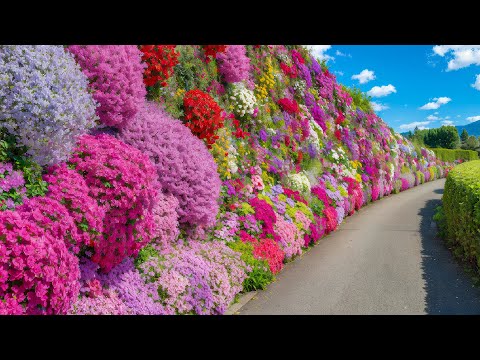 Видео: Идеи цветущего сада, вдохновлённые летом 2025 года 🏡 Создайте пышный уголок для отдыха на заднем ...