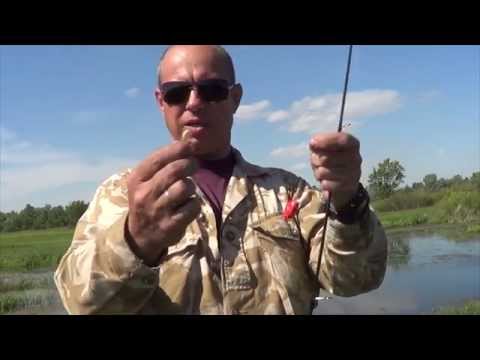 Видео: Попла - поппер. Рыбалка с Калмыковым