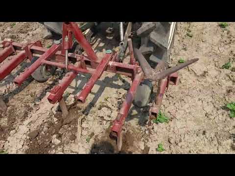 Видео: Самодельный культиватор, рыхление по картофелю