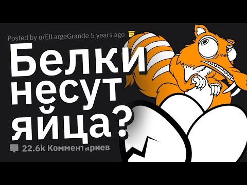 Видео: ГЛУПЕЙШИЕ Вещи, Произнесёнными Публично #2