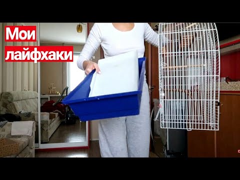 Видео: ЛАЙФХАКИ ДЛЯ УБОРКИ КЛЕТКИ ПОПУГАЯ