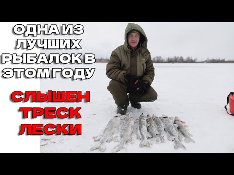Видео: ОТ ЩУК ТРЕЩИТ ЛЕСКА  ШИКАРНАЯ РЫБАЛКА НА НОВОМ ВОДОЁМЕ