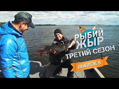 Видео: Ловля щуки осенью на Чебоксарском водохранилище с Валерием Новосадовым. Рыбий Жыр сезон 3 выпуск 8