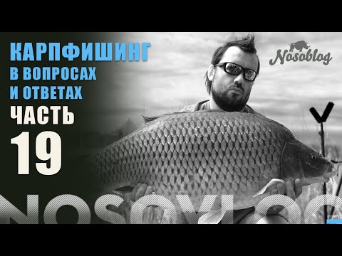Видео: Карпфишинг в вопросах и ответах, А. Колесников, выпуск 19