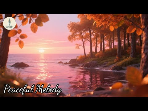 Видео: Иногда всего одна мелодия может вернуть надежду 💫 | Музыка Сергея Грищука