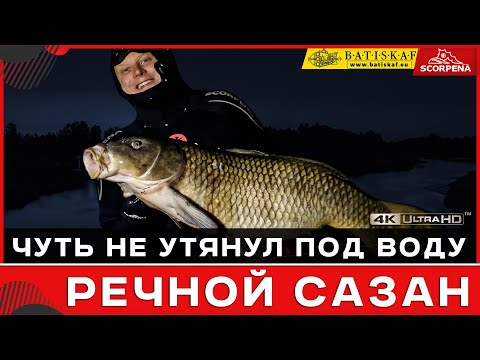 Видео: Огромный речной сазан на 14кг согнул гарпун и чуть не утянул под воду