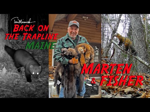 Видео: Том Миранда / Снова на трапплинге для Maine Marten & Fisher
