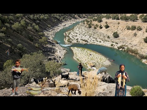 Видео: Кочевая жизнь: животноводство прекрасных девушек-кочевниц 🐑 | Рыбалка братьев и сестер-кочевниц 🐟