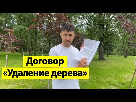 Видео: Договор на оказание услуг «Удаление деревьев»