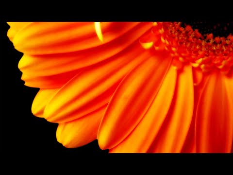 Видео: Юпитер в знаках зодиака. Фрагмент лекции 😙