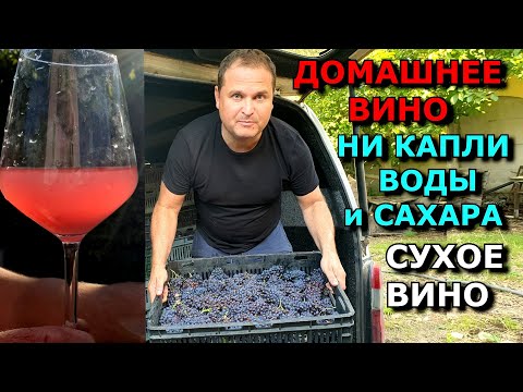 Видео: РОЗОВОЕ СУХОЕ ВИНО ИЗ ВИНОГРАДА, КАК ДЕЛАЮТ ВИНОДЕЛЫ. ВИНО БЕЗ САХАРА И ВОДЫ !
