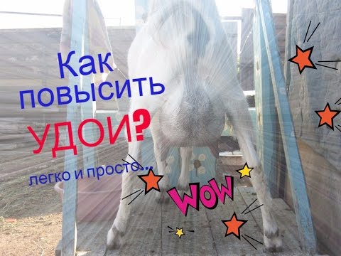 Видео: Как повысить удои коз -  проверено  мною.