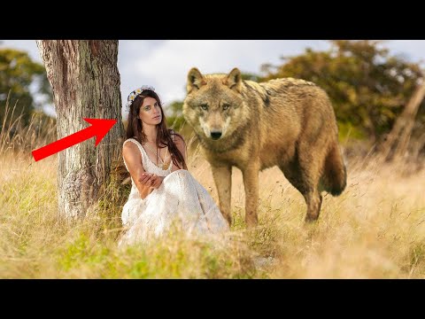 Видео: Девушка на последние деньги выкупила у охотника скулящего, крохотного волчонка, завернутого в мешок