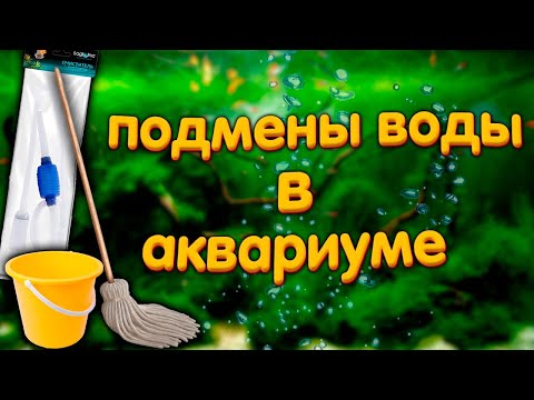 Видео: Подмены воды в аквариуме. Сколько, как часто и почему.