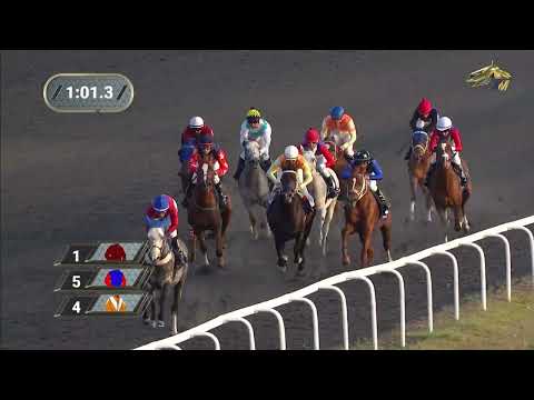 Видео: 12-я Скачка Приз Президента ОАЭ. Казанский ипподром. 30.08.2023