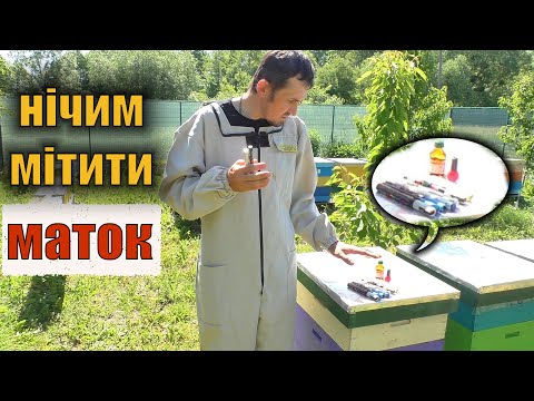 Видео: Нічим мітити бджоломаток! Вічна проблема з маркерами