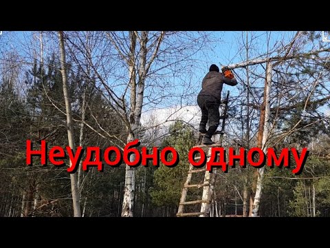 Видео: Входим в колею. Обычный день на хуторе с многочисленными делами.