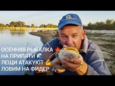 Видео: ЛЕЩИ АТАКУЮТ 🐟 Осенняя рыбалка с фидером на Припяти с друзьями 🎣СЕЗОН ЗАКРЫТ 🏕️
