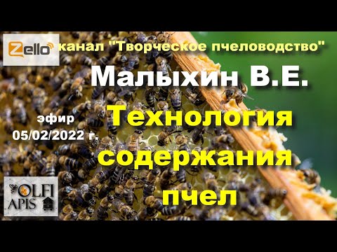 Видео: 05.02.22 г. Z-рация, канал "#Творческое_пчеловодство" #Малыхин В.Е. #Технология_содержания_пчел