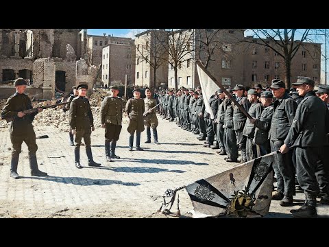 Видео: ЭТИ СЪЁМКИ ПУБЛИКУЮТСЯ ВПЕРВЫЕ. КАПИТУЛЯЦИЯ КУРЛЯНДСКОЙ ГРУППИРОВКИ (МАЙ 1945 г.)