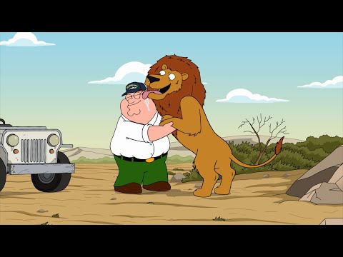Видео: ГРИФФИНЫ - ПИТЕР ВЕТЕРАН! НОВЫЙ СЕЗОН В HD