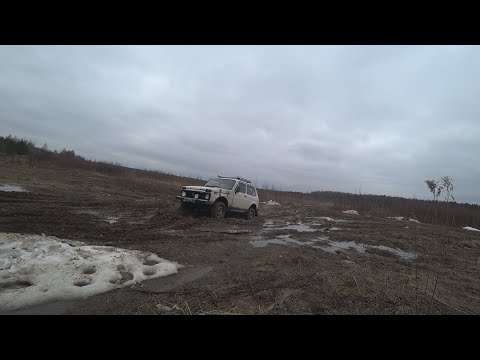 Видео: ГЛАЗА БОЯТСЯ, А НИВЫ ЕДУТ