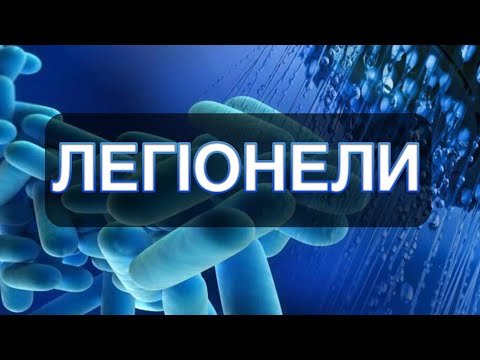 Видео: Легіонельоз (хвороба легіонерів) / Legionella pneumophila