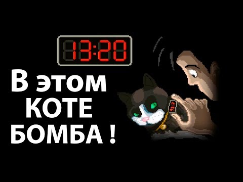 Видео: Не уходи... Нашего кота заминировали !