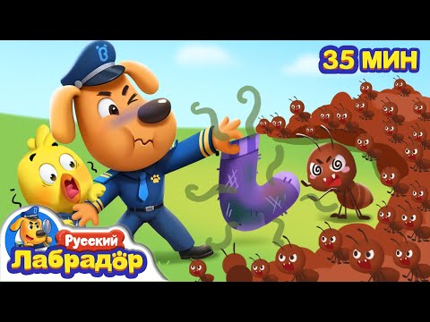 Видео: 🐜С муравьями шутки плохи | 🐝Безопасность для детей | 🪼Популярный сборник мультиков | Шериф Лабрадор