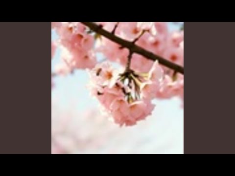 Видео: Ти моя королева