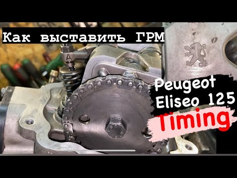 Видео: Peugeot Eliseo 125 как выставить ГРМ Timing Peugeot Eliseo 125