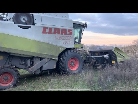 Видео: Збирання кукурудзи 2022 🥳 врожай радує!!! гібрид Pioneer P9074