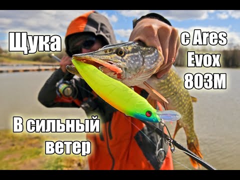 Видео: Закрытие весеннего сезона по щуке
