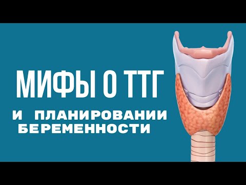 Видео: МИФЫ О ТТГ И ПЛАНИРОВАНИИ БЕРЕМЕННОСТИ @DrOlenaB