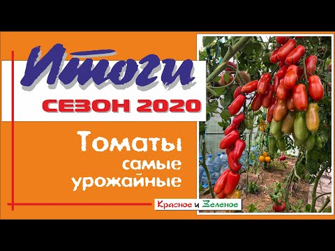 Видео: Томаты 2020. Самые урожайные сорта этого сезона