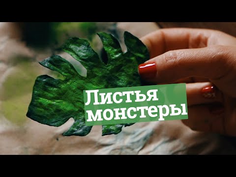 Видео: Как сделать листья монстеры из вафельной бумаги