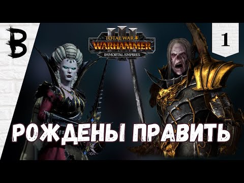 Видео: Total War: Warhammer 3 Immortal Empires Сильвания, Влад фон Карштайн #1 "Рождены править"