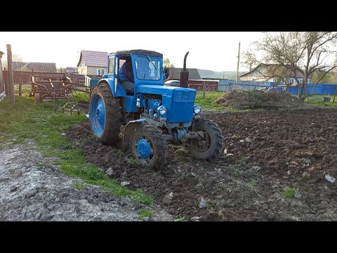 Видео: Пашем огород на легендарном тракторе т-40