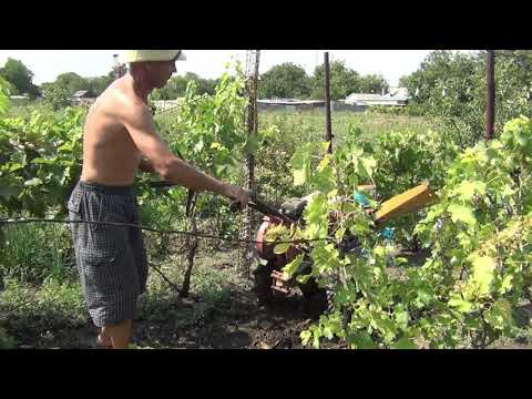 Видео: Утилизация табачных стволов