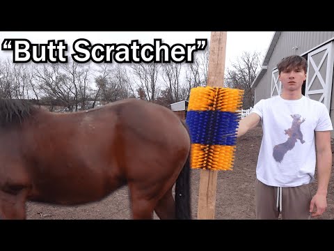 Видео: Я купил еще Тему "Товары для животных"