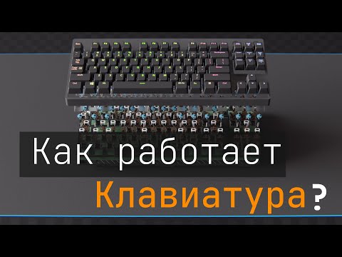 Видео: Как работает Клавиатура? [Branch Education на русском]