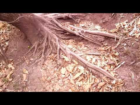 Видео: Кравцовские водопады.