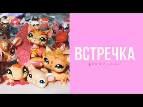 Видео: LPS: ВСТРЕЧКА | редкие петы?