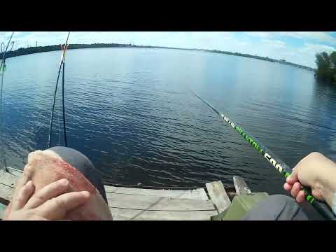 Видео: Два фидера и поплавок. Что из этого вышло.