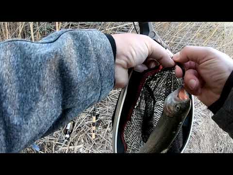 Видео: Pesca de truchas en Rio Segura,ловим форель в реке,на платнике.